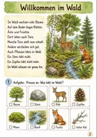 Vorschau - Arbeitsblätter - Lebensraum Wald Klasse 1 -2 Tiere und Pflanzen entdecken - Seite 1