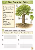 Vorschau - Arbeitsblätter - Lebensraum Wald Klasse 1 -2 Tiere und Pflanzen entdecken - Seite 2