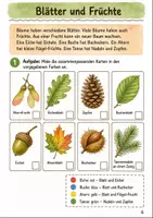 Vorschau - Arbeitsblätter - Lebensraum Wald Klasse 1 -2 Tiere und Pflanzen entdecken - Seite 3