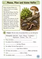 Vorschau - Stundenentwürfe - Pflanzen Klasse 3 -4 Lebensraum Wald erkunden - Seite 3