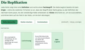 Vorschau - Spiele - Replikation Zuordnungsspiel - Seite 1