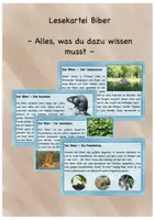 Vorschau - Bildkarten - Lesekartei Biber, Lebensweise, Aussehen, Merkmale - Deckblatt