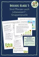 Vorschau - Stundenentwürfe - Materialpaket: Die erste Biologiestunden - Die Biologie erforscht das Leben - Seite 1