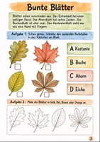 Vorschau - Stundenentwürfe - Wald im Herbst Klasse 1 -2 Tiere und Früchte entdecken - Seite 2