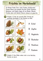 Vorschau - Stundenentwürfe - Wald im Herbst Klasse 1 -2 Tiere und Früchte entdecken - Seite 3