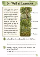 Vorschau - Stundenentwürfe - Tiere Klasse 3 -4 - Seite 2