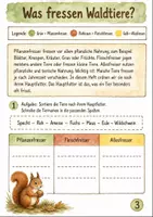 Vorschau - Stundenentwürfe - Tiere Klasse 3 -4 - Seite 3