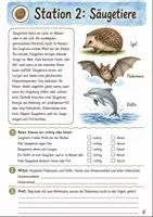 Vorschau - Mal- und Bastelvorlagen - Wirbeltiere und Tierklassen Klasse 5 -6 Merkmale und Vergleich - Seite 3