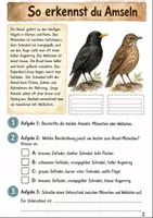 Vorschau - Stundenentwürfe - Wachsendes Materialpaket Tiere - Seite 2
