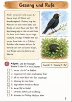 Vorschau - Stundenentwürfe - Wachsendes Materialpaket Tiere - Seite 3