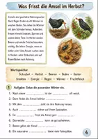 Vorschau - Arbeitsblätter - Amsel im Herbst Klasse 3 -4 Naturbeobachtung und Tipps - Seite 3