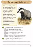 Vorschau - Stundenentwürfe - Dachs im Herbst Klasse 3 -4 Lesen und Verstehen - Seite 1