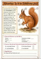 Vorschau - Arbeitsblätter - Eichhörnchen im Herbst Klasse 3 -4 Lebensraum und Winterruhe - Seite 1