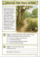 Vorschau - Arbeitsblätter - Eichhörnchen im Herbst Klasse 3 -4 Lebensraum und Winterruhe - Seite 2