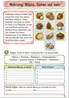 Vorschau - Arbeitsblätter - Eichhörnchen im Herbst Klasse 3 -4 Lebensraum und Winterruhe - Seite 3