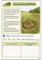 Vorschau - Arbeitsblätter - Feldhase im Herbst Klasse 3 -4 Aussehen und Verhalten - Seite 2