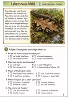 Vorschau - Arbeitsblätter - Feuersalamander Klasse 3 -4 Lesen und Beobachten - Seite 2