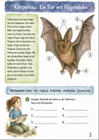 Vorschau - Stundenentwürfe - Fledermaus im Herbst Klasse 3 -4 Sachtexte und Aufgaben - Seite 1