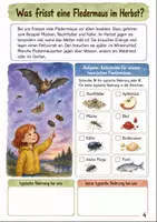 Vorschau - Stundenentwürfe - Fledermaus im Herbst Klasse 3 -4 Sachtexte und Aufgaben - Seite 3