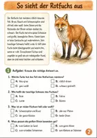 Vorschau - Arbeitsblätter - Fuchs im Herbst Klasse 3 -4 Wissen und Aufgaben - Seite 1