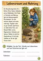 Vorschau - Arbeitsblätter - Igel im Herbst Klasse 3 -4 Lebensraum und Schutz - Seite 1
