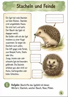 Vorschau - Arbeitsblätter - Igel im Herbst Klasse 3 -4 Lebensraum und Schutz - Seite 3