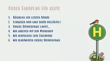 Vorschau - Stundenentwürfe - Die Zelle - Grundbaustein aller Lebewesen - Seite 3