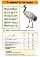 Vorschau - Stundenentwürfe - Kraniche im Herbst Klasse 3 -4 Vogelzug und Schutz - Seite 1