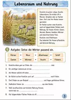 Vorschau - Stundenentwürfe - Kraniche im Herbst Klasse 3 -4 Vogelzug und Schutz - Seite 2