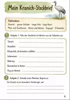 Vorschau - Stundenentwürfe - Kraniche im Herbst Klasse 3 -4 Vogelzug und Schutz - Seite 3