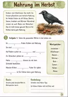 Vorschau - Stundenentwürfe - Herbst Sachunterricht – Krähen Naturbeobachtung und Verhalten Klasse 3-4 - Seite 2