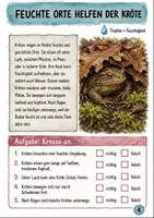Vorschau - Arbeitsblätter - Herbst Sachunterricht – Kröten Lesen und Verstehen Klasse 3-4 - Seite 3