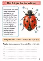 Vorschau - Stundenentwürfe - Sachunterricht Klasse 4 - Seite 2