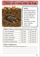 Vorschau - Arbeitsblätter - Maulwurf Klasse 4 3 Verhalten und Nutzen - Seite 2