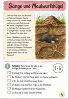 Vorschau - Arbeitsblätter - Maulwurf Klasse 4 3 Verhalten und Nutzen - Seite 3