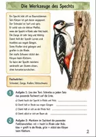 Vorschau - Unterrichtsreihen - Spechte im Wald Klasse 3 -4 Sachunterricht - Seite 1