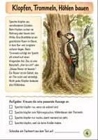 Vorschau - Unterrichtsreihen - Spechte im Wald Klasse 3 -4 Sachunterricht - Seite 3