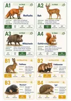 Vorschau - Spiele - Tierquartett – Tiere & Lebensräume | 32 Wissenskarten | Klasse 2–3 - Seite 3