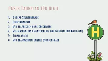 Vorschau - Stundenentwürfe - Einführung in die 5 Klassen der Wirbeltiere - Tiere gruppieren - Seite 3