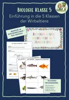 Vorschau - Stundenentwürfe - Einführung in die 5 Klassen der Wirbeltiere - Tiere gruppieren - Deckblatt