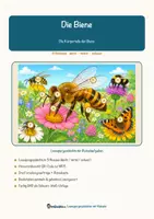 Vorschau - Mal- und Bastelvorlagen - Die Biene – Lesespurgeschichte mit Rätselaufgaben (Klasse 5) - Seite 3