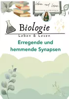 Vorschau - Stundenentwürfe - Erregende und hemmende Synapsen - Deckblatt