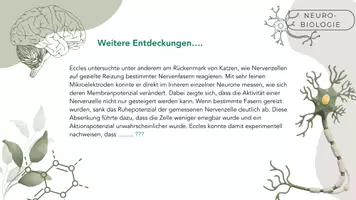 Vorschau - Stundenentwürfe - Erregende und hemmende Synapsen - Seite 3