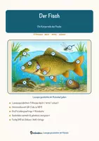 Vorschau - Arbeitsblätter - Der Fisch – Lesespurgeschichte mit Rätselaufgaben (Klasse 5) - Deckblatt
