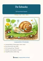Vorschau - Arbeitsblätter - Die Schnecke – Lesespurgeschichte mit Rätselaufgaben (Klasse 5) - Deckblatt