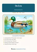 Vorschau - Arbeitsblätter - Die Ente – Lesespurgeschichte mit Rätselaufgaben (Klasse 5) - Seite 1