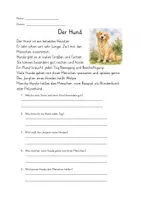 Vorschau - Arbeitsblätter - Sachtexte Heim-, Nutz- und Wildtiere - Hund, Kuh, Igel - Seite 1