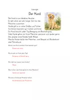 Vorschau - Arbeitsblätter - Sachtexte Heim-, Nutz- und Wildtiere - Hund, Kuh, Igel - Seite 2