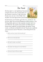 Vorschau - Arbeitsblätter - Sachtexte Heim-, Nutz- und Wildtiere - Hund, Kuh, Igel - Seite 3