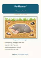 Vorschau - Mal- und Bastelvorlagen - Der Maulwurf – Lesespurgeschichte mit Rätselaufgaben (Klasse 5) - Seite 1